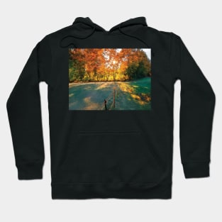 Golden Fall Picture Hoodie